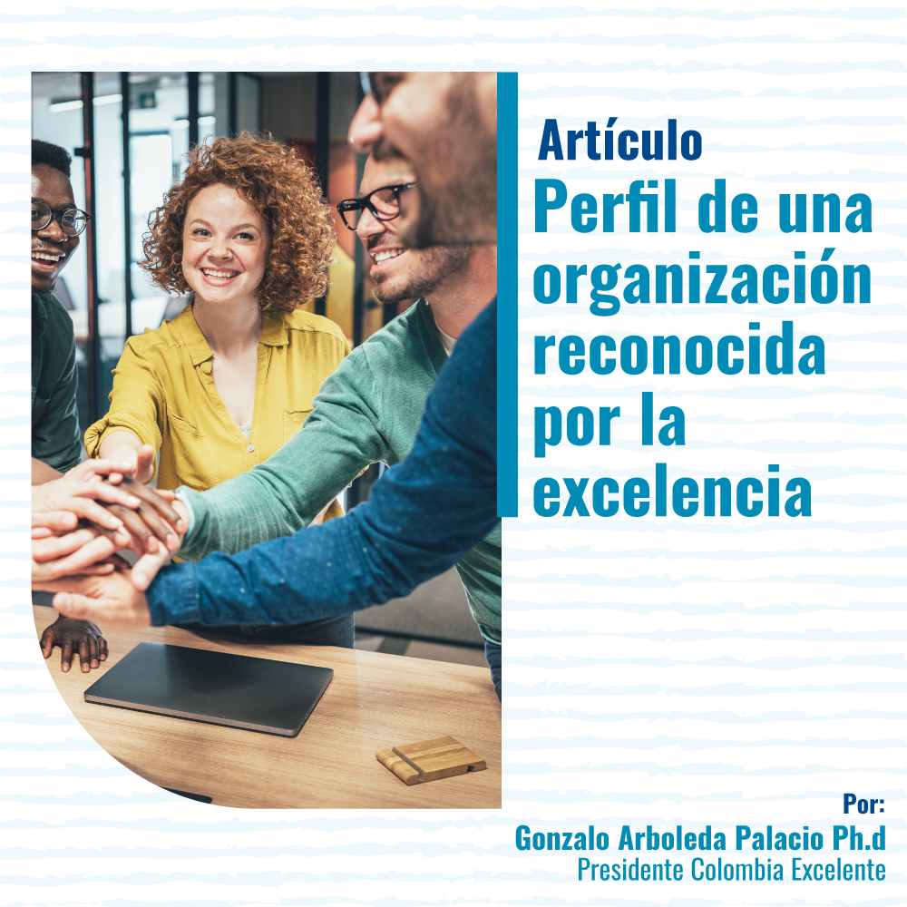 Perfil-de-una-organización-reconocida-por-la-excelencia-web